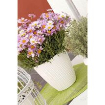 Κασπώ Στρογγυλό Πλαστικό με Σχέδιο Ψάθα Λευκό BAMA Ιταλίας