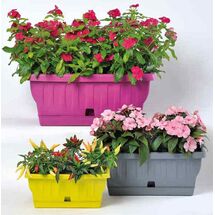 BAMA ITALY Ζαρντινιέρα Decor 30cm/40cm/50cm με Αυτοποτιζόμενο Πιάτο Πλαστική Φούξια NATURA