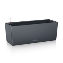 LECHUZA Balconera Color50 Ζαρντινιέρα 50x19x19cm Αυτοποτιζόμενη με Δοχείο Φύτευσης ΑΝΘΡΑΚΙ Γερμανίας