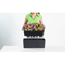 LECHUZA Balconera Color50 Ζαρντινιέρα 50x19x19cm Αυτοποτιζόμενη με Δοχείο Φύτευσης ΑΝΘΡΑΚΙ Γερμανίας