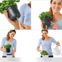 LECHUZA Cube Color14 Επιτραπέζια Γλάστρα 14x14x13.5cm Αυτοποτιζόμενη με Δοχείο ΑΝΘΡΑΚΙ Γερμανίας RedDot Award 2014German Design Award 2016