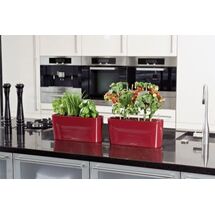 LECHUZA Delta20 Επιτραπέζια Γλάστρα 40x14.6x18cm Αυτοποτιζόμενη με Δοχείο Φύτευσης ΚΟΚΚΙΝΗ Γερμανίας RedDot Award 2009Designpreis Deutchland 2010