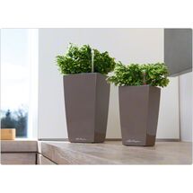 LECHUZA Maxi-Cubi Επιτραπέζια Γλάστρα 14x14x26cm Αυτοποτιζόμενη με Δοχείο Φύτευσης ΓΚΡΙ-ΚΑΦΕ Γερμανίας