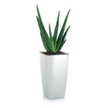 LECHUZA Maxi-Cubi Επιτραπέζια Γλάστρα 14x14x26cm Αυτοποτιζόμενη με Δοχείο Φύτευσης ΛΕΥΚΗ Γερμανίας