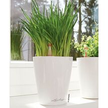 LECHUZA Mini Deltini Επιτραπέζια Γλάστρα 10x10x13cm Αυτοποτιζόμενη με Δοχείο Φύτευσης ΛΕΥΚΗ Γερμανίας iF Product Design Award 2012