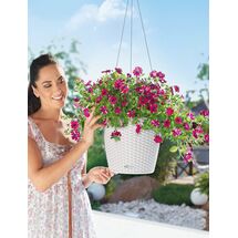 LECHUZA Nido Cottage Κρεμαστή Γλάστρα Ø27x23cm Στρογγυλή Αυτοποτιζόμενη με Δοχείο Φύτευσης Ανοξείδωτο Αξεσουάρ Κρέμασης ΛΕΥΚΗ Γερμανίας