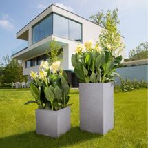 LECHUZA Canto Color Στήλη 30 Επιδαπέδια Γλάστρα 30x30x56cm Αυτοποτιζόμενη με Δοχείο ΓΚΡΙ με όψη ΦΥΣΙΚΗ ΠΕΤΡΑ Γερμανίας