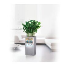 LECHUZA Canto Color Στήλη 30 Επιδαπέδια Γλάστρα 30x30x56cm Αυτοποτιζόμενη με Δοχείο ΓΚΡΙ με όψη ΦΥΣΙΚΗ ΠΕΤΡΑ Γερμανίας