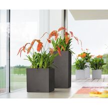 LECHUZA Canto Color Κύβος 30 Επιδαπέδια Γλάστρα 30x30x30cm Αυτοποτιζόμενη με Δοχείο ΜΑΥΡΟ του ΓΡΑΦΙΤΗ όψη ΦΥΣΙΚΗ ΠΕΤΡΑ Γερμανίας