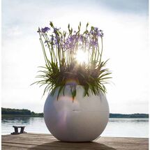 LECHUZA Puro 50 Επιδαπέδια Γλάστρα Ø49x41.5cm Σφαιρική Αυτοποτιζόμενη με Δοχείο Φύτευσης 13lt Λευκή Γερμανίας RedDot Award 2014