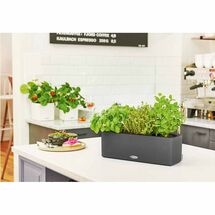 LECHUZA CUBE Color Triple Ζαρντινιέρα-Κασπώ 40x14x13.5cm Αυτοποτιζόμενη με Εσωτερικό Δοχείο Ανθρακί Γερμανίας