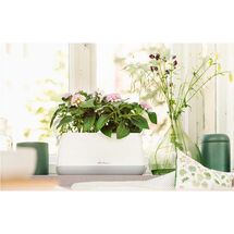 LECHUZA YULA Ζαρντινιέρα-Κασπώ 38x17x18cm Αυτοποτιζόμενη Λευκό-Γκρι Γερμανίας