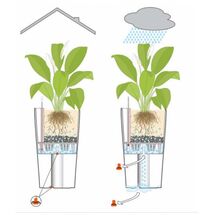 LECHUZA CILINDRO 32 Επιδαπέδια Γλάστρα Ø32x56cm Αυτοποτιζόμενη με Δοχείο Φύτευσης Λευκή Γερμανίας