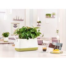 LECHUZA YULA Ζαρντινιέρα-Κασπώ 38x17x18cm Αυτοποτιζόμενη Λευκό-Λαχανί Γερμανίας