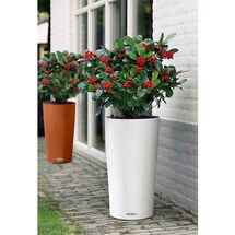 LECHUZA CILINDRO 23 Επιδαπέδια Γλάστρα Ø23x41cm Αυτοποτιζόμενη με Δοχείο Φύτευσης Λευκή Γερμανίας