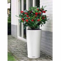 LECHUZA CILINDRO 32 Επιδαπέδια Γλάστρα Ø32x56cm Αυτοποτιζόμενη με Δοχείο Φύτευσης Λευκή Γερμανίας