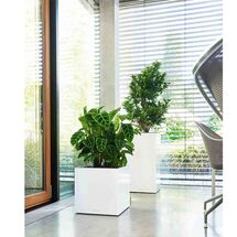 LECHUZA Canto 40 Premium Κύβος Επιδαπέδια Γλάστρα 40x40x40cm Αυτοποτιζόμενη με Δοχείο Φύτευσης Λευκή Γυαλιστερή Γερμανίας Reddot Award Winner 2017