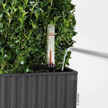 LECHUZA Cube Cottage 50 Επιδαπέδια Γλάστρα 49x49x49.5cm Αυτοποτιζόμενη με Δοχείο Φύτευσης Ανθρακί Γερμανίας