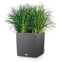 LECHUZA Cube Cottage 50 Επιδαπέδια Γλάστρα 49x49x49.5cm Αυτοποτιζόμενη με Δοχείο Φύτευσης Ανθρακί Γερμανίας