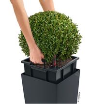 LECHUZA Cubico Color 30 Επιδαπέδια Γλάστρα 29.5x29.5x56.5cm Αυτοποτιζόμενη με Δοχείο Φύτευσης Λευκή Ματ Γερμανίας