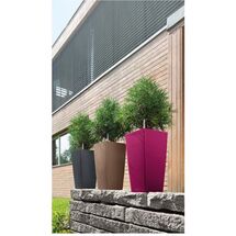 LECHUZA Cubico Color 40 Επιδαπέδια Γλάστρα 39.5x39.5x75.5cm Αυτοποτιζόμενη με Δοχείο Φύτευσης Ανθρακί Ματ Γερμανίας