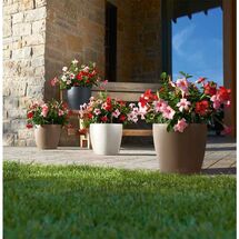 LECHUZA Classico 35 Επιδαπέδια Γλάστρα Ø34.5x32.5cm Αυτοποτιζόμενη Καφέ Γερμανίας