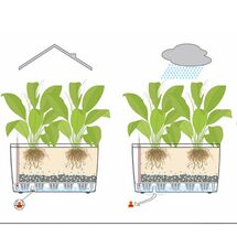 LECHUZA CARARO 75 Premium Ζαρντινιέρα Επιδαπέδια 75x30x42.5cm ΑΥΤΟΠΟΤΙΖΟΜΕΝΗ με 2 Ρόδες Ανθρακί Γυαλιστερή Γερμανίας