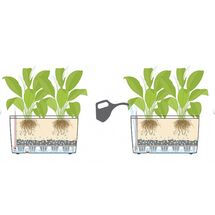 LECHUZA CARARO 75 Premium Ζαρντινιέρα Επιδαπέδια 75x30x42.5cm ΑΥΤΟΠΟΤΙΖΟΜΕΝΗ με 2 Ρόδες Ανθρακί Γυαλιστερή Γερμανίας