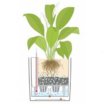 LECHUZA Cube Premium 30 Επιδαπέδια Γλάστρα 29.5x29.5x30cm Αυτοποτιζόμενη με Δοχείο Φύτευσης Ανθρακί Γυαλιστερή Γερμάνιας