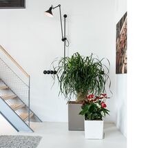 LECHUZA Cube Premium 40 Επιδαπέδια Γλάστρα 39x39x40cm Αυτοποτιζόμενη με Δοχείο Φύτευσης Λευκή Γυαλιστερή Γερμάνιας