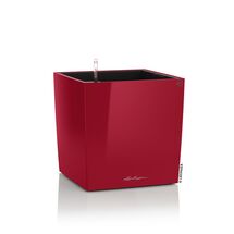 LECHUZA Cube Premium 30 Επιδαπέδια Γλάστρα 29.5x29.5x30cm Αυτοποτιζόμενη με Δοχείο Φύτευσης Μπορντό Γυαλιστερή Γερμάνιας