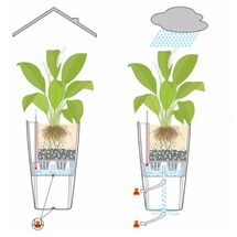 LECHUZA CUBICO 22 Premium Επιτραπέζια Γλάστρα 22x22x41cm Αυτοποτιζόμενη με Δοχείο Φύτευσης Ανθρακί Γυαλιστερή Γερμανίας
