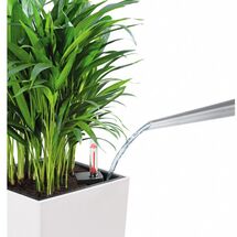 LECHUZA CUBICO ALTO 40 Premium Επιδαπέδια Γλάστρα 39.5x39.5x105cm Αυτοποτιζόμενη με Δοχείο Φύτευσης Ανθρακί Γυαλιστερή Γερμανίας