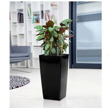 LECHUZA CUBICO 22 Premium Επιτραπέζια Γλάστρα 22x22x41cm Αυτοποτιζόμενη με Δοχείο Φύτευσης Μαύρη Γυαλιστερή Γερμανίας