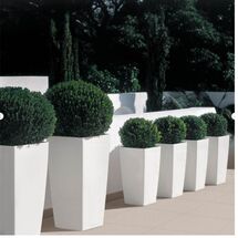 LECHUZA CUBICO 50 Premium Επιδαπέδια Γλάστρα 50x50x94cm Αυτοποτιζόμενη με Δοχείο Φύτευσης Λευκή Γυαλιστερή Γερμανίας