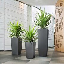 LECHUZA CUBICO 30 Premium Επιδαπέδια Γλάστρα 29.5x29.5x56.5cm Αυτοποτιζόμενη με Δοχείο Φύτευσης Ανθρακί Γυαλιστερή Γερμανίας