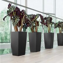 LECHUZA CUBICO 50 Premium Επιδαπέδια Γλάστρα 50x50x94cm Αυτοποτιζόμενη με Δοχείο Φύτευσης Ανθρακί Γυαλιστερή Γερμανίας