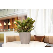 LECHUZA Classico 21 LS Επιτραπέζια Γλάστρα Ø22x20cm Αυτοποτιζόμενη με Δοχείο Φύτευσης Γκρι-Καφέ Γυαλιστερή Γερμανίας