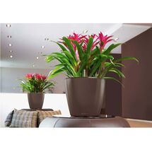 LECHUZA Classico 21 LS Επιτραπέζια Γλάστρα Ø22x20cm Αυτοποτιζόμενη με Δοχείο Φύτευσης Καφέ Espresso Γυαλιστερή Γερμανίας