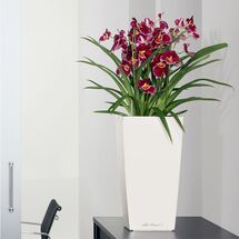 LECHUZA CUBICO 22 Premium Επιτραπέζια Γλάστρα 22x22x41cm Αυτοποτιζόμενη με Δοχείο Φύτευσης Λευκή Γυαλιστερή Γερμανίας