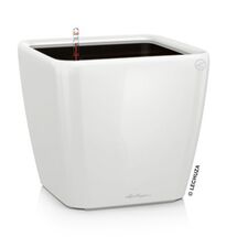 LECHUZA QUADRO 50 LS Premium Επιδαπέδια Γλάστρα 50x50x46.5cm ΑΥΤΟΠΟΤΙΖΟΜΕΝΗ με Δοχείο Φύτευσης Λευκή Γυαλιστερή Γερμανίας