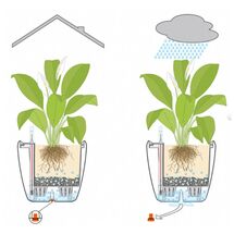 LECHUZA QUADRO 50 LS Premium Επιδαπέδια Γλάστρα 50x50x46.5cm ΑΥΤΟΠΟΤΙΖΟΜΕΝΗ με Δοχείο Φύτευσης Ανθρακί Γυαλιστερή Γερμανίας