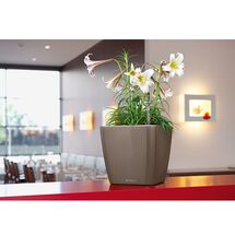 LECHUZA QUADRO 28 LS Premium Επιτραπέζια Γλάστρα 28x28x26cm ΑΥΤΟΠΟΤΙΖΟΜΕΝΗ με Δοχείο Φύτευσης Γκρι-καφέ Γυαλιστερή Γερμανίας