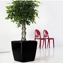 LECHUZA QUADRO 43 LS Premium Επιδαπέδια Γλάστρα 43x43x39cm ΑΥΤΟΠΟΤΙΖΟΜΕΝΗ με Δοχείο Φύτευσης Μαύρη Γυαλιστερή Γερμανίας