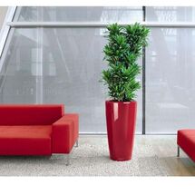 LECHUZA RONDO 40 Premium Επιδαπέδια Γλάστρα Ø40x75cm ΑΥΤΟΠΟΤΙΖΟΜΕΝΗ με Δοχείο Φύτευσης Μπορντό Γυαλιστερή Γερμανίας