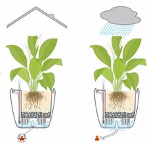 LECHUZA Classico 50 LS Premium Επιδαπέδια Γλάστρα Ø49.5x46.5cm Αυτοποτιζόμενη με Δοχείο Φύτευσης Ανθρακί Σατινέ Γερμανίας