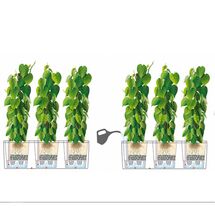 LECHUZA Trio 30 Cottage Ζαρντινιέρα 100x32.5x34.5cm Αυτοποτιζόμενη με 3 Κάδους Φύτευσης Ανθρακί RATTAN Γερμανίας