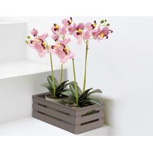 BAMA Ιταλίας Τελάρο Πολλαπλών Χρήσεων 25x31x11.5cm Πλαστικό με Όψη Ξύλου Καφέ Γκρι TINA 2