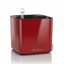 LECHUZA CUBE Glossy 14 Επιτραπέζια Γλάστρα 14x14x14cm Αυτοποτιζόμενη με Εσωτερικό Δοχείο Scarlet Red Γερμανίας