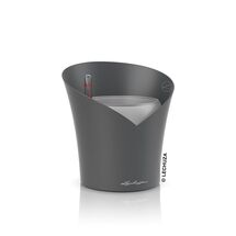 LECHUZA ORCHIDEA Επιτραπέζια Γλάστρα Ø18x20cm Αυτοποτιζόμενη Slate Matt Γερμανίας